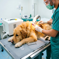 Alfombrilla refrescante para mascotas con circulación de agua por compresor, para prevenir golpes de calor en verano y mantener el calor para la recuperación postoperatoria.