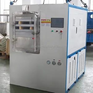 Commercial 5 10 15 20 30 35 100Kg Food Celery Fruits Vegetable Dryer Vacuum Freeze Lyophilizer Dried Drying Machine