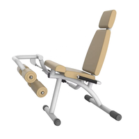 Vente d'extension de boucle de jambe Cylindre hydraulique Fitness Extension de boucle de jambe Équipement de gymnastique pneumatique Machines de JLC-NS10 pour l'aîné
