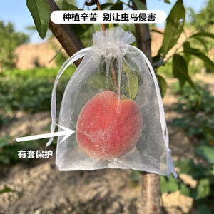 Haihua Fruit Protection <b>Mesh</b> Bag Anti <b>Insect</b> Bird For Strawberry Fig Pomegranate Grape Tomato Gardening Use - Product Image 4