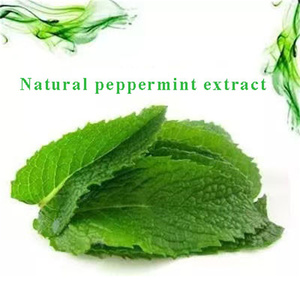 Réfrigérant d'épices au menthol de qualité alimentaire et rehausseur de parfum pour saveurs de tabac 1 kg - Product Image 4