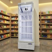Réfrigérateur commercial vertical à porte vitrée pour boissons, congélateur, refroidisseur à porte simple