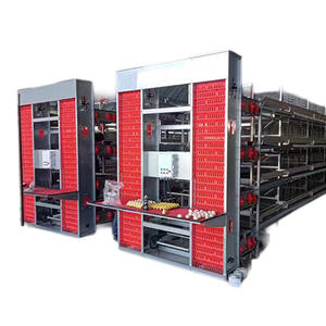 Nuevo Sistema Automático de Jaulas para Aves de Corral en Forma de H de Múltiples Niveles, Alojamiento Eficiente para Gallinas Ponedoras para la Producción de <span class=keywords><strong>Huevos</strong></span> a Gran Escala, Ahorro de Espacio - Product Image 3