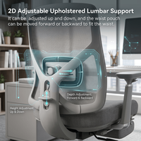 Chaise de bureau ergonomique en maille, pivotante et réglable, avec dossier rembourré, soutien lombaire confortable et appui-tête 3D, idéale pour les directeurs et les cadres.