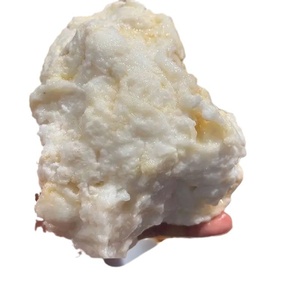 STONE Tai Sui meat lingzhi Tai Sui เนื้อขาว Tai Sui ชิ้น<span class=keywords><strong>เดียว</strong></span>ดรอปชิปบน<span class=keywords><strong>ปลา</strong></span> - Product Image 5