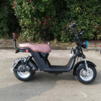 2026 EEC COC Seev Citycoco Brezilya Deposu 2026 Elektrikli Scooter Chopper Scooterlar