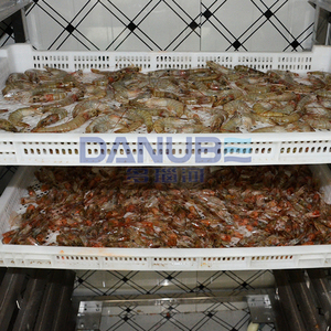 Professional Seafood Drying Room Meat Heat <b>Pump</b> Drying Oven Shrimp Dehydrator Equipment Shrimp Drying Oven Room - Product Image 2