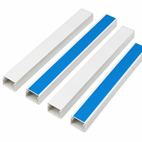 Goulotte de câblage en PVC à profil bas avec couvercle amovible pour le routage des câbles au mur et au plafond