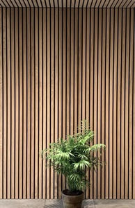 <span class=keywords><strong>Rucca</strong></span> sang trọng <span class=keywords><strong>WPC</strong></span> bên ngoài ngoài trời trang trí tường Ốp Bảng điều chỉnh thiết kế coextrusion Bảng gỗ siding Board vật liệu xây dựng - Product Image 6