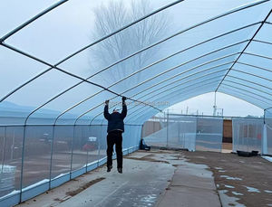 Walk-in Polytunnel Tunnel <span class=keywords><strong>Serre</strong></span> En Plein Air Plante Cultiver Tente <span class=keywords><strong>Serre</strong></span> <span class=keywords><strong>Serre</strong></span> Ronde Pignon Maison Jardin Chaleur Hangar - Product Image 4