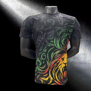 批发定制 26-2027 加蓬足球球衣 主客场足球套装 球员版 非洲杯足球球衣 不败狮队 - Product Image 4