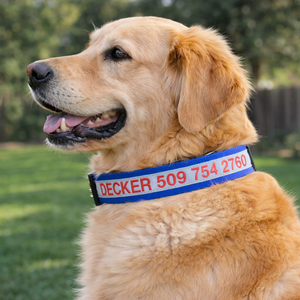 Collar Personalizado para Perro Bordado con Nombre de Mascota y Número de Teléfono en Negro para Perros Machos y Hembras Ajustable Grande - Product Image 5