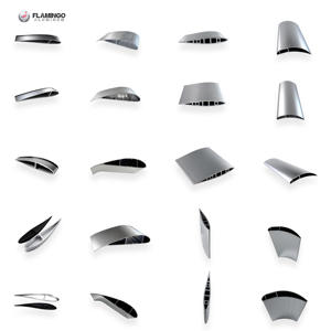 Flamingo <span class=keywords><strong>Foshan</strong></span> pisau <span class=keywords><strong>Aluminium</strong></span> 6063 T5 <span class=keywords><strong>Aluminium</strong></span> ekstrusi Airfoil turbin angin vertikal pisau profil industri <span class=keywords><strong>Aluminium</strong></span> - Product Image 3