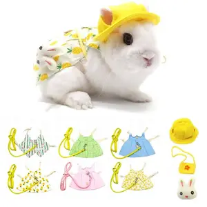 Ropa de conejo para mascotas, adornos de orejas de gato de peluche, fotos de viaje, conjunto de ropa para mascotas pequeñas, novedad