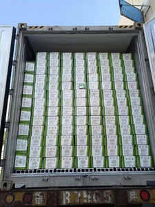 Tất cả ngô ngọt đông lạnh chân không tự nhiên trên lõi ngô - Product Image 6