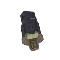 Sensor detonasi Sensor otomatis untuk RENAULT 7700732262 8200639103 7700735564 8200680689 6001543613 7700866055