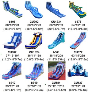 Tobogán acuático inflable para fiestas en el patio trasero, juegos acuáticos de verano para niños, equipo de alquiler comercial. - Product Image 2