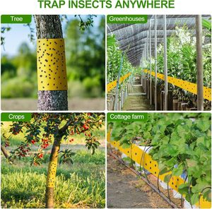 Tamaño personalizado doble cara pegada avispa polilla insectos voladores pegajoso rollo pegamento trampa cinta adhesiva - Product Image 4