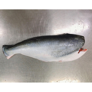 Pangasius Congelado Swai HGT, Pangasius Basa HGT, Pangasius Entero sin Cabeza y Eviscerado - Product Image 5