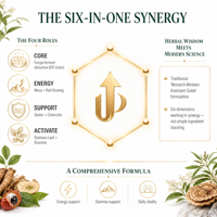 Mélange liquide d'extrait de Ginseng Rouge, Maca, Huître, Concombre de mer, Racine de Bardane, Polygonatum, Goji et Igname chinoise