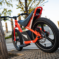 Vélo électrique tout-terrain pour enfants de 16 pouces avec batterie au lithium 24V, 150 watts, vélo pour enfants, vélo électrique tout-terrain