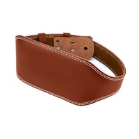 Ceinture de Soutien Lombaire pour Adultes, Accessoire de Musculation et de Fitness pour Hommes et Femmes, Équipement de Bodybuilding pour Powerlifting et Gym