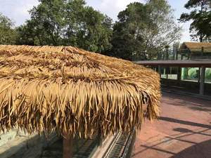 Larga vida precio barato hoja de plátano sintético Palma artificial paja <span class=keywords><strong>Coco</strong></span> techo de paja - Product Image 2