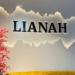 Enseigne LED professionnelle de haute qualité en acier inoxydable, lettres rétroéclairées Halo, logo mural LED pour bureau, réception, devanture de magasin - Product Image 2