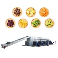 Ondersteuning voor maatwerk: machine voor het drogen van champignons, noedelsdroger met gaasband, machine voor het drogen van kardemom/tomaat/rode dadels, fruitdroogmachine