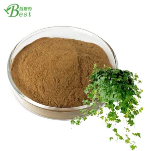Chinese Ivy Leaf Extract/ivy leaf extract hedera helix 10:1