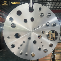 Bride de tuyauterie forgée en acier inoxydable 304/316 classe 300M, usinée CNC haute pression ANSI B16.5, certifiée ISO 9001 pour l'agriculture