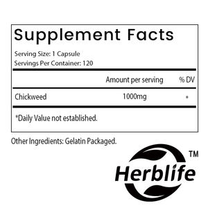 OEM/ODM kapsul chicweed | 1,000mg | 120 hitungan | Non-gmo, ekstrak bebas Gluten | Suplemen Herbal, dukungan imun - Product Image 2