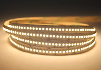 Guirlandes lumineuses LED personnalisées 12V DC en cuivre SMD2835 2700K blanc chaud certifiées CE, type C, pour décoration paysagère, découpables, 240 LED