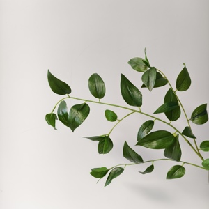 Nuove Piante Artificiali Realistiche al Tatto per Composizioni Floreali e Decorazioni <span class=keywords><strong>d</strong></span>'<span class=keywords><strong>Interni</strong></span> - Product Image 3