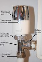 Robinet de radiateur droit en laiton, vanne thermostatique de contrôle de la température, robinet de radiateur en laiton Pn16