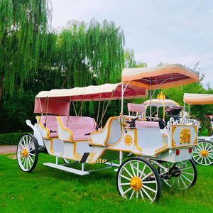 Calèche électrique de tourisme avec garantie, taille/couleur personnalisables, étagère en fer, contreplaqué - Product Image 5