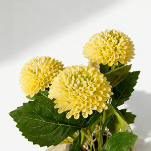 Meilleur prix pour les <span class=keywords><strong>fleurs</strong></span> artificielles de dahlia, <span class=keywords><strong>fleurs</strong></span> personnalisées de petite taille, vente <span class=keywords><strong>en</strong></span> gros, décoration de mariage, <span class=keywords><strong>fleurs</strong></span> réalistes <span class=keywords><strong>en</strong></span> <span class=keywords><strong>pot</strong></span> <span class=keywords><strong>en</strong></span> pulpe de papier - Product Image 3