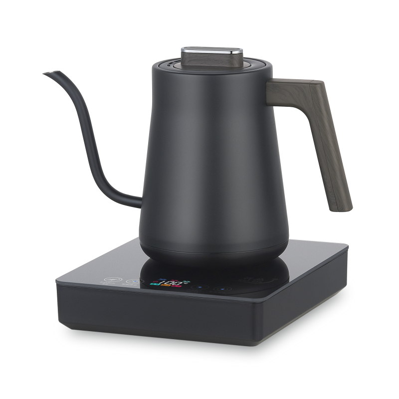 Cordless New Catel Household Tea Hot Water Gooseneck Kettle