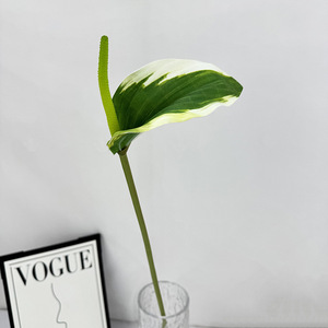 Vente en gros <span class=keywords><strong>de</strong></span> fleurs artificielles en PU <span class=keywords><strong>de</strong></span> 10 cm à tige unique, Anthurium en vrac pour la décoration <span class=keywords><strong>de</strong></span> mariage, <span class=keywords><strong>de</strong></span> la maison et des fêtes - Product Image 5