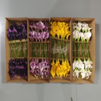 Fleurs artificielles de lys Calla blanches, douces, pour décoration de mariage, bouquets, cadeaux, mur floral, plantes