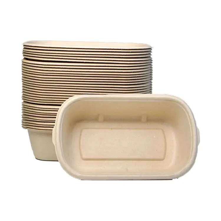 Factory Hot Sale Disposable Sugarcane Pulp Single Compartment Salad Takeaway Food Box With Lid Can Take Away Lunch Box