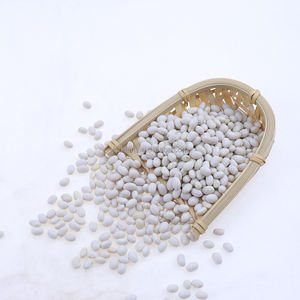 Habas de riñón blancas, tamaño pequeño, secas, a granel, Canadá - Product Image 3