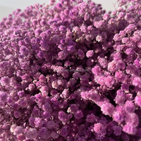 Bouquet de fleurs séchées de gypsophile blanches préservées, guirlande pour décoration d'allée de mariage, Saint-Valentin, Fête des Mères, en gros