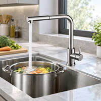 Robinet de cuisine monocommande en alliage de zinc brossé à bec allongé pour évier