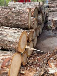 Compensato rivestito con film piatto 12 15 16 18mm fustellatura in compensato per lavori di fustellatura e taglio laser - Product Image 3