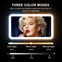 Miroir éclairé portable Grossissement 1X/5X Miroir de maquillage de poche de voyage LED avec 3 modes de couleur Rechargeable et gradable