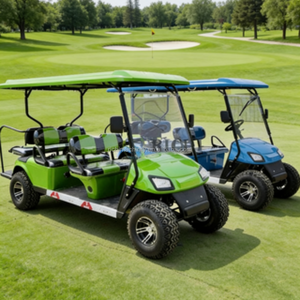 Carro Eléctrico Turístico Completamente Equipado con Cortina Antilluvia, Luces de Advertencia y Asientos de Lujo, Buggy de 6 Plazas para Transporte VIP en Resorts - Product Image 3