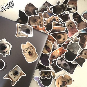 Die Cut Kitten Doodle Impermeável PVC/Vinil Adesivos 50Pcs Dos Desenhos Animados <span class=keywords><strong>Anime</strong></span> Scrapbook Etiqueta para Laptop Caneta Guitarra Decoração Bagagem - Product Image 5