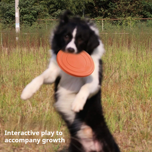 Food Grade Silicone Pet Interactive & Movement Soft Dog Training Toy for Stress Relief Dog Playing Toy - Product Image 3