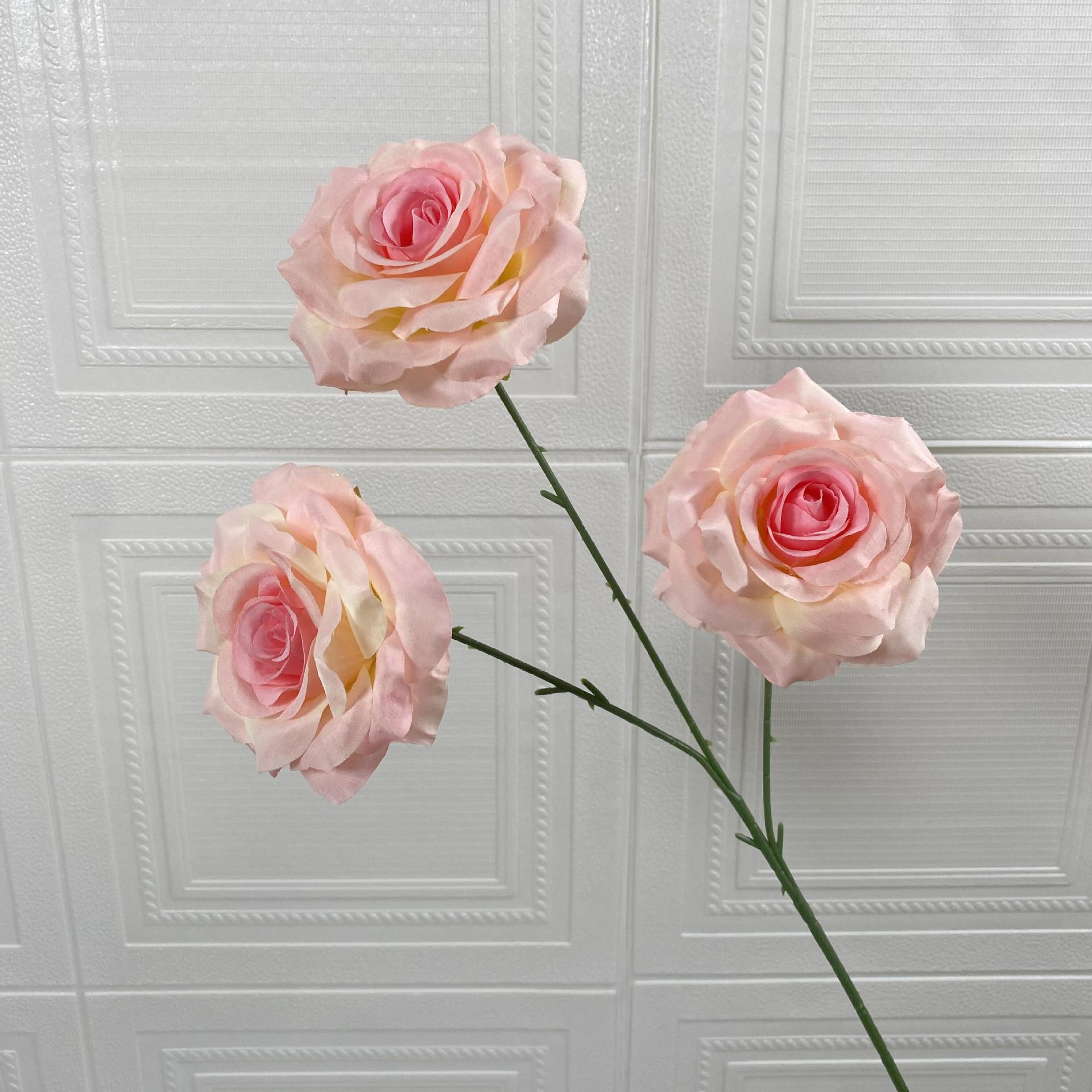 Rosa de lichi rosa